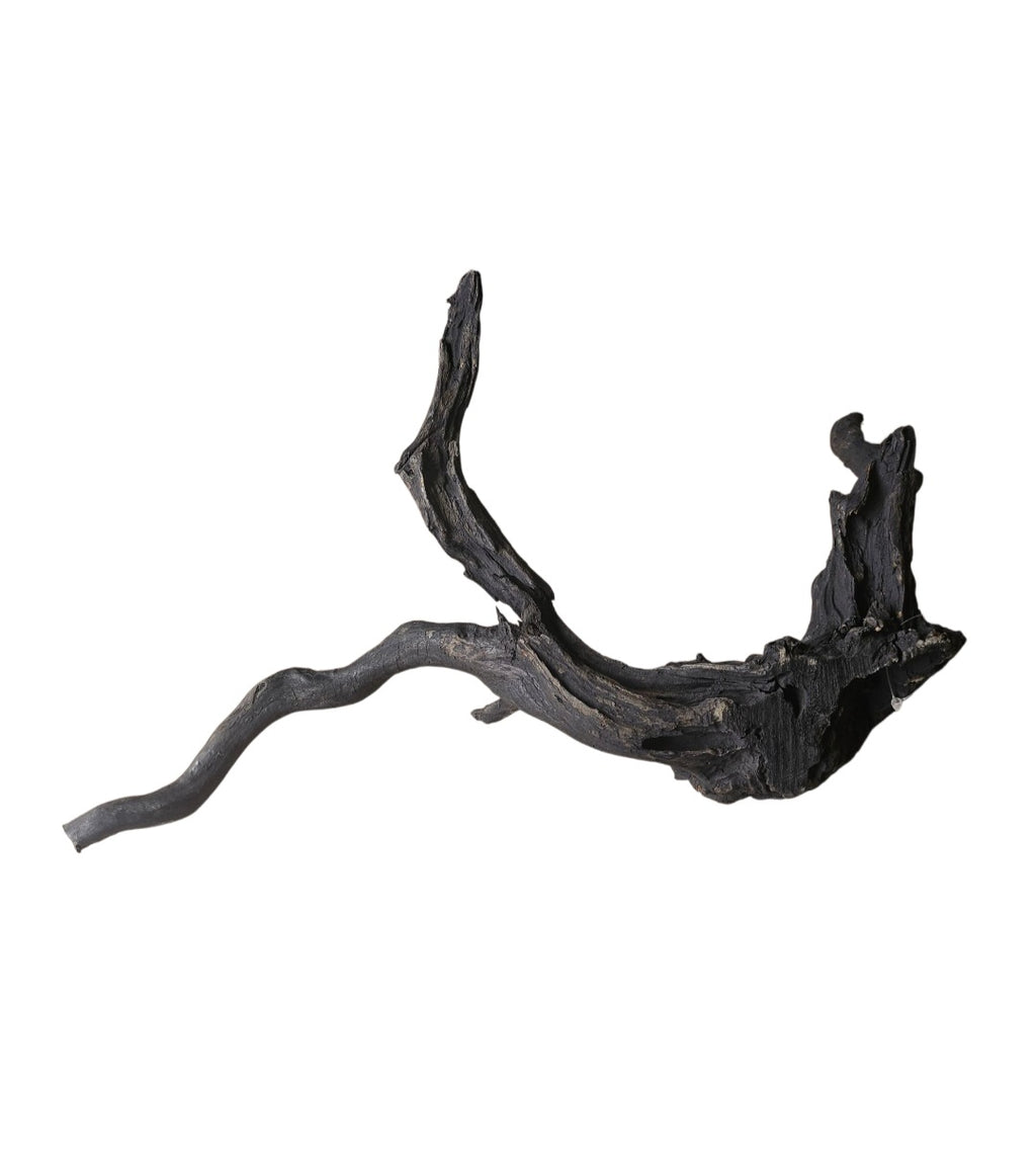 Schwarze Moorwurzel L (40-45 cm) Nr. 112