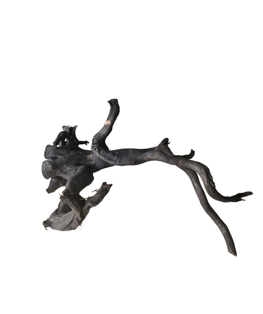 Schwarze Moorwurzel L (40-45 cm) Nr. 929
