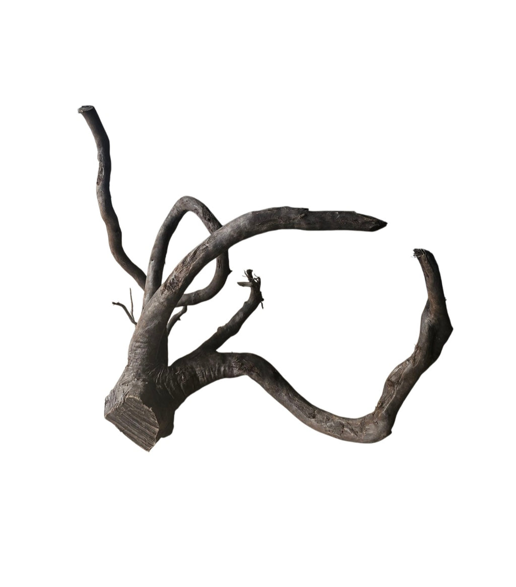 Schwarze Moorwurzel L (40-45 cm) Nr.930