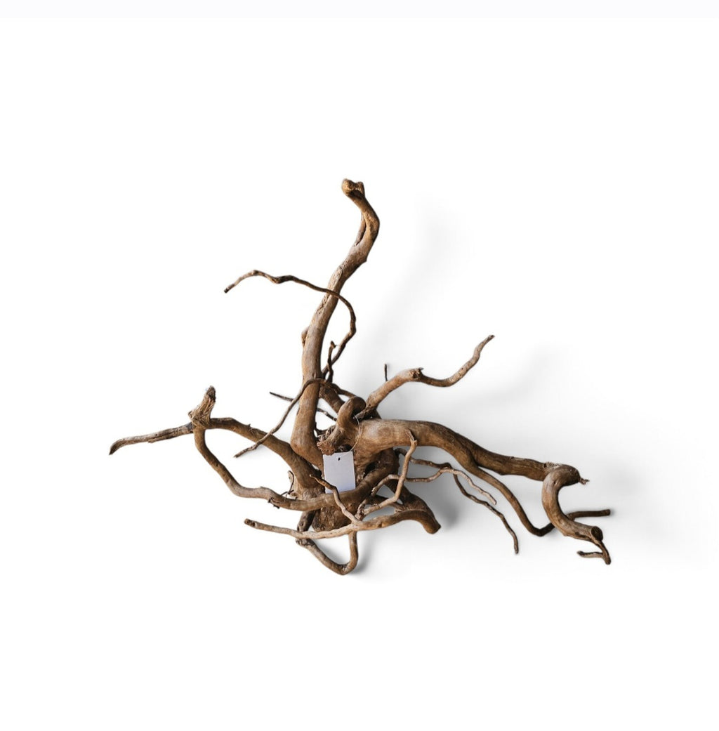 Dunkle Moorwurzel L (40-45 cm) Nr.932