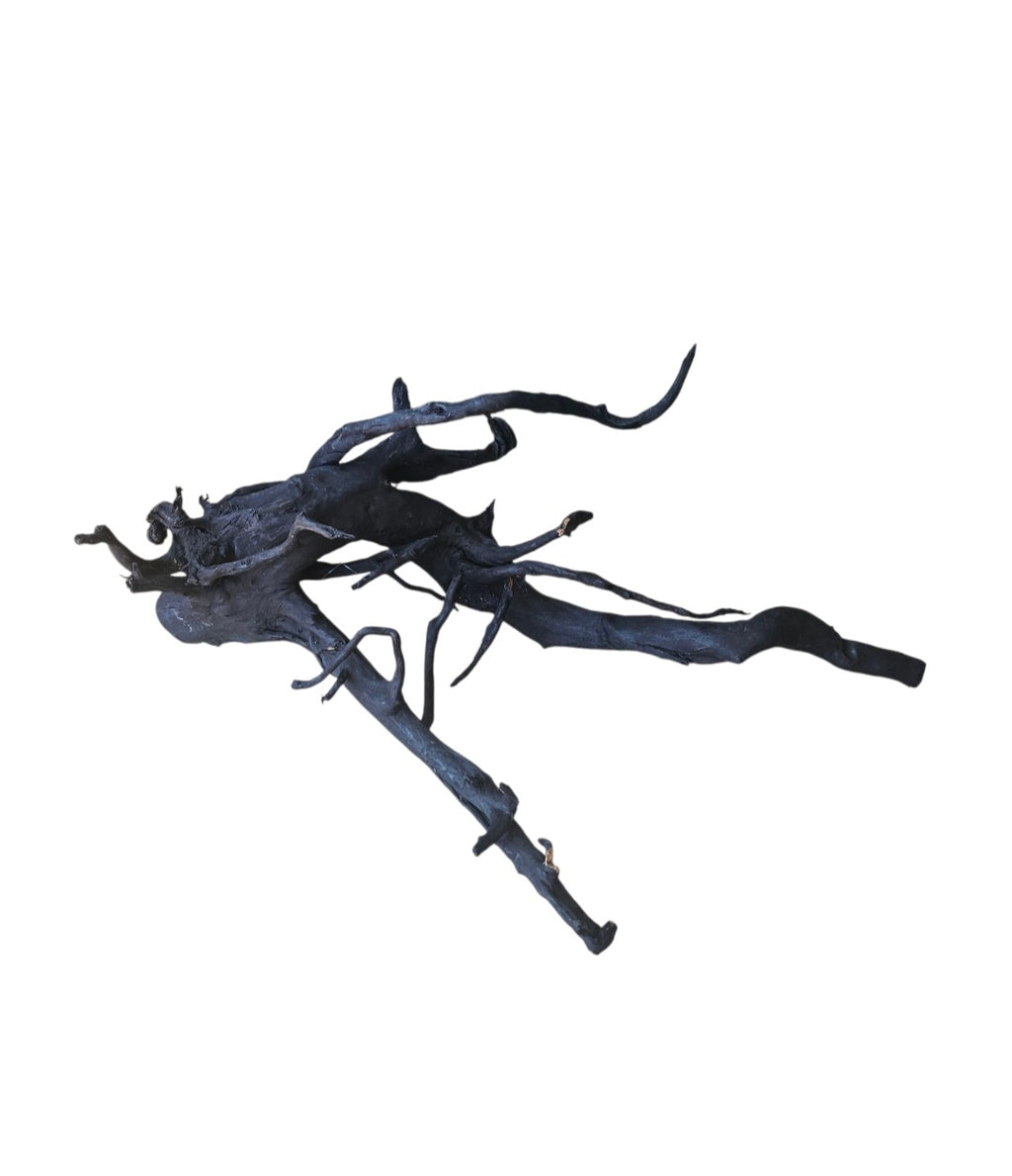 Schwarze Moorwurzel L (40-45 cm) Nr.934