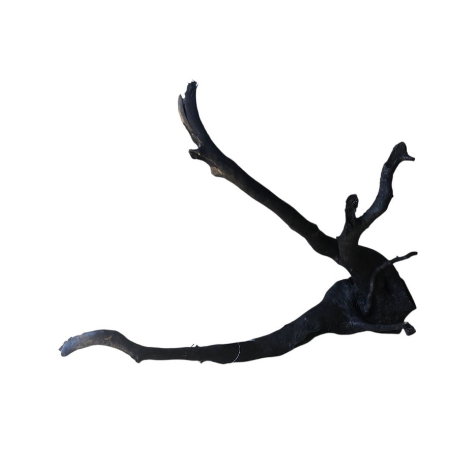 Schwarze Moorwurzel L (40-45 cm) Nr.933