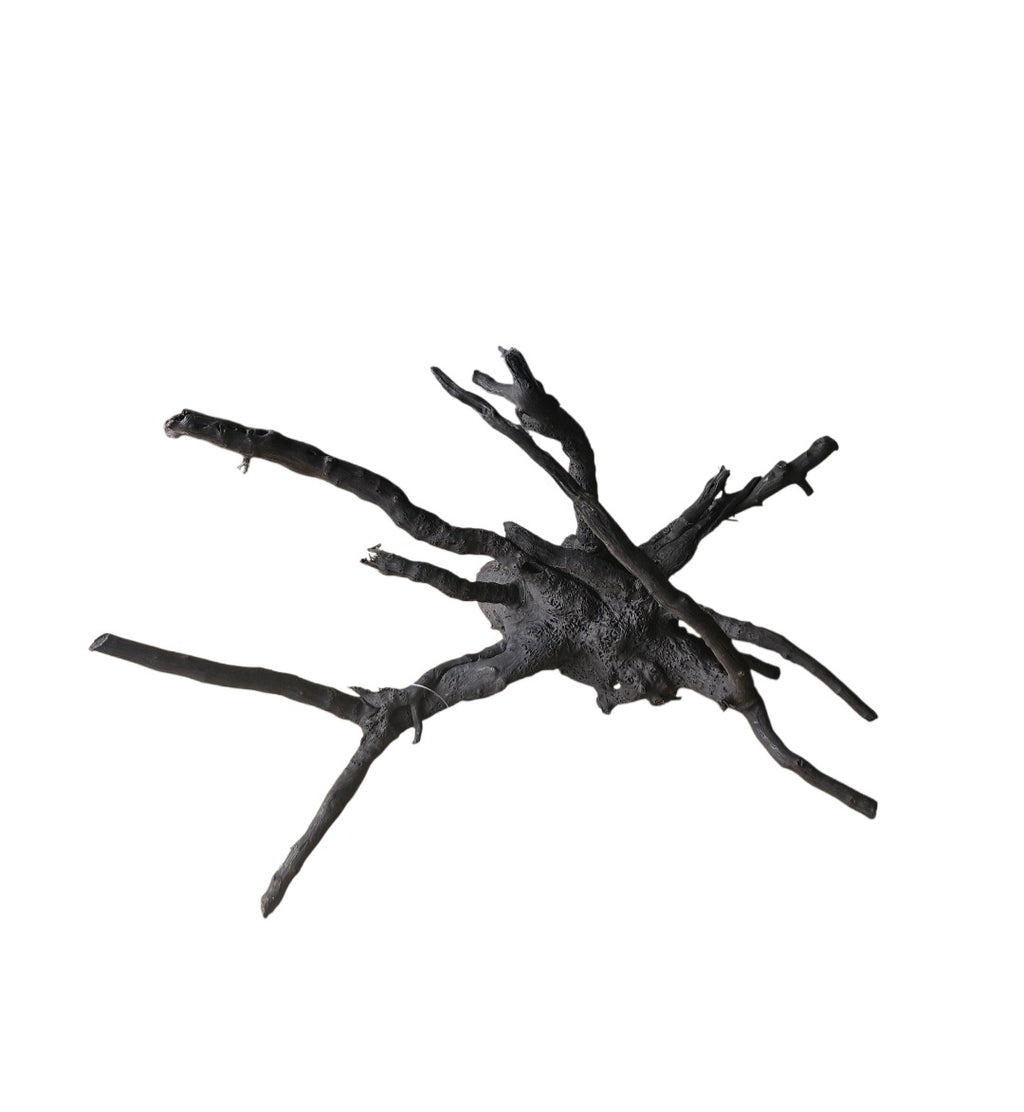 Schwarze Moorwurzel M (25-30 cm) Nr. 110