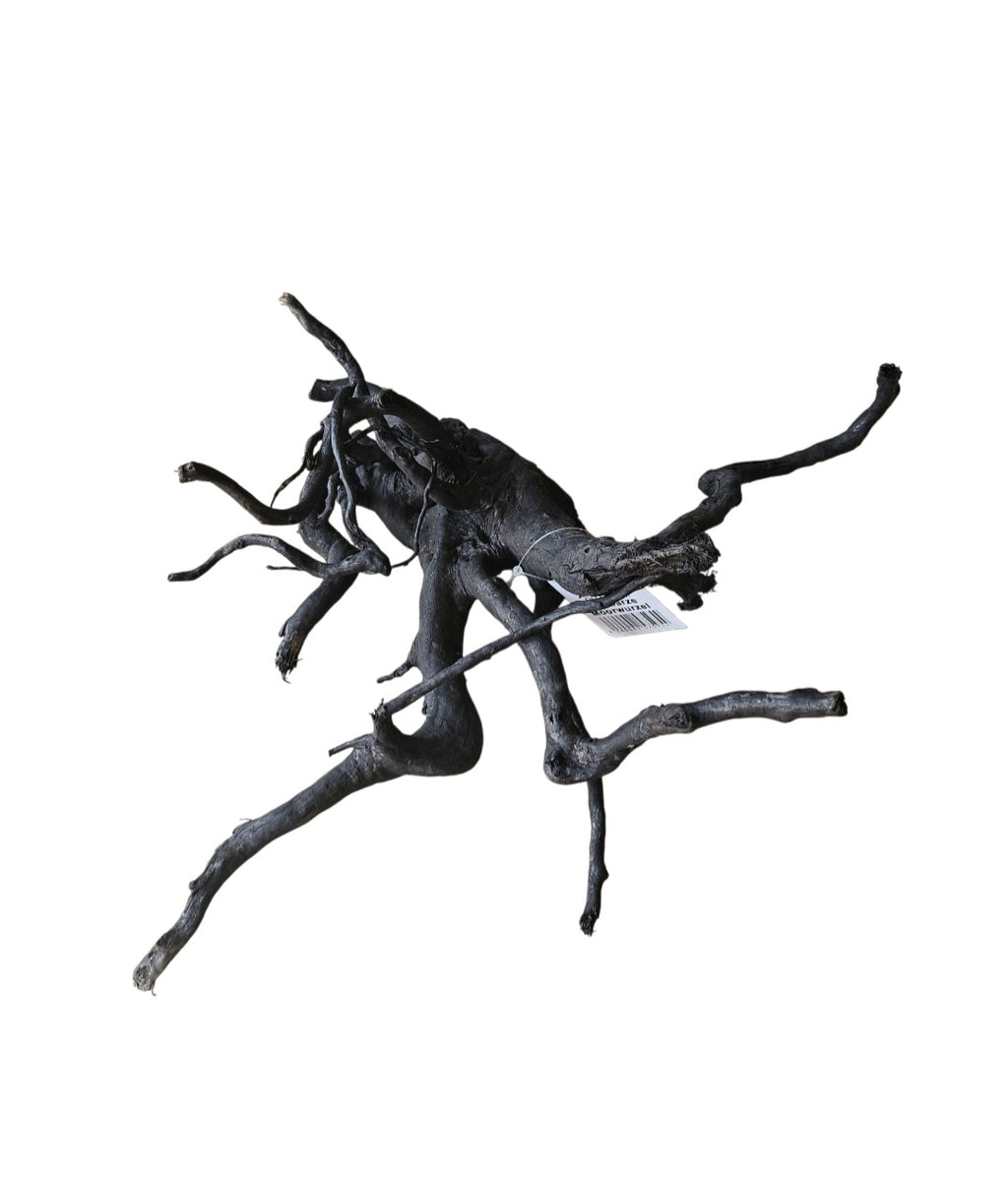 Schwarze Moorwurzel M (25-30 cm) Nr. 264