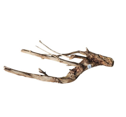 Talawa Holz / Wood 50-70 cm Nr. 158