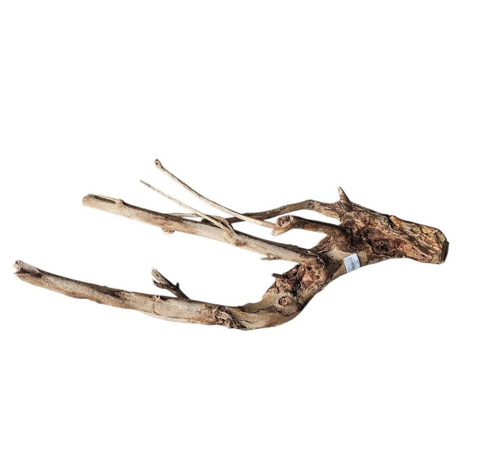 Talawa Holz / Wood 50-70 cm Nr. 158