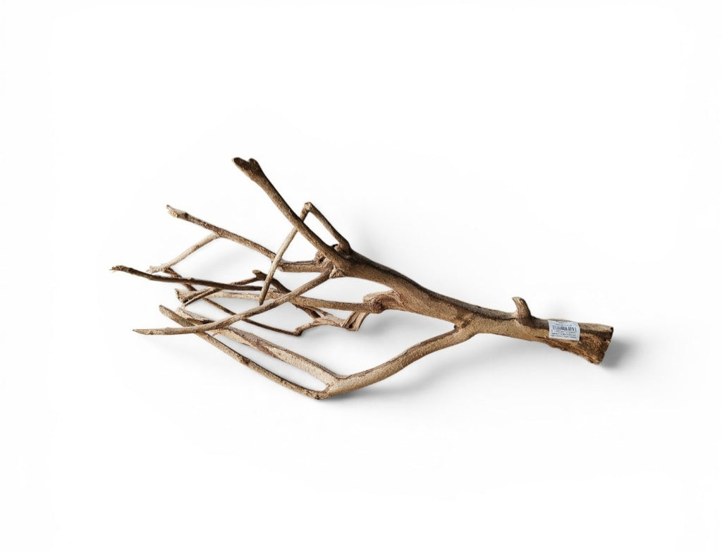 Talawa Holz/Wood 30-45cm Nr. 431