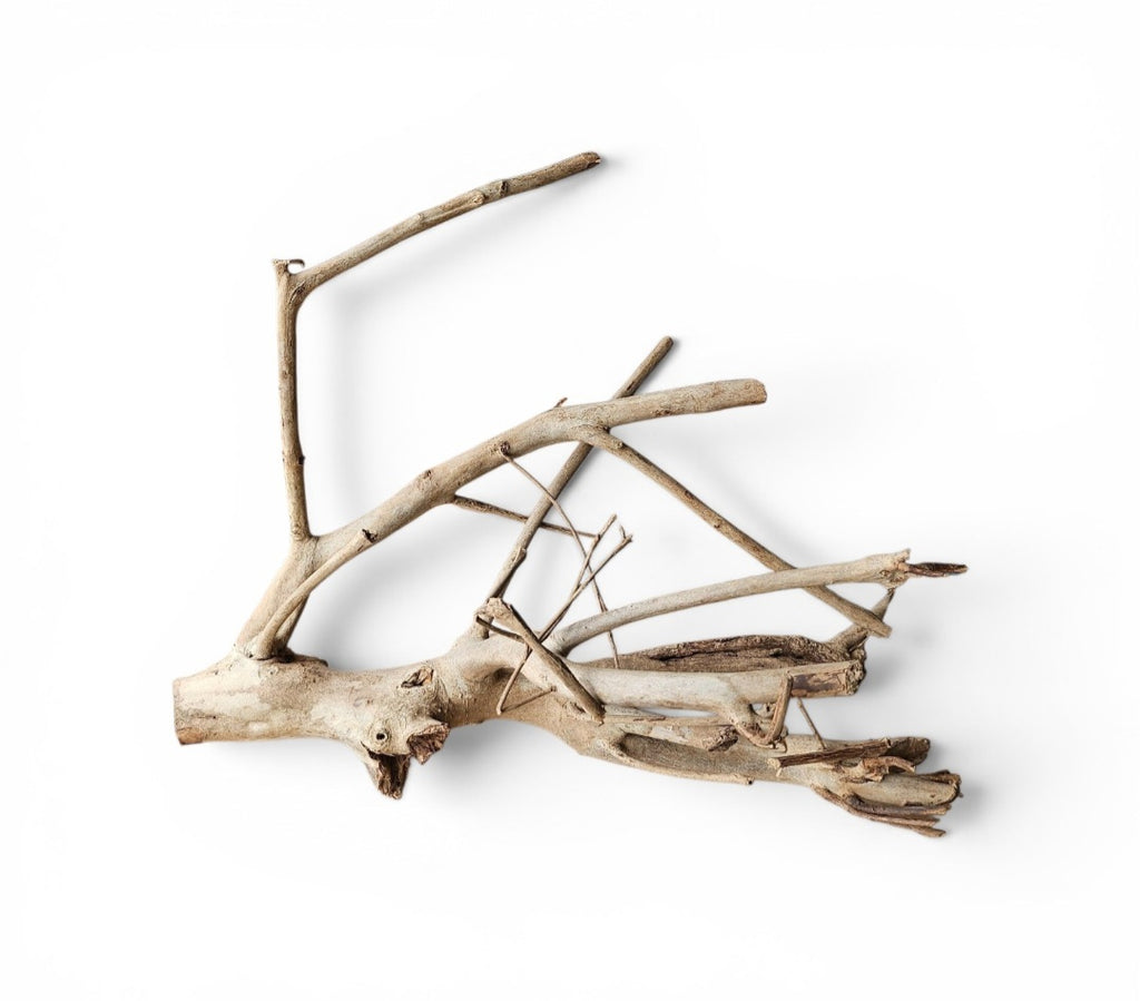 Talawa Holz/Wood 30-45cm Nr. 65