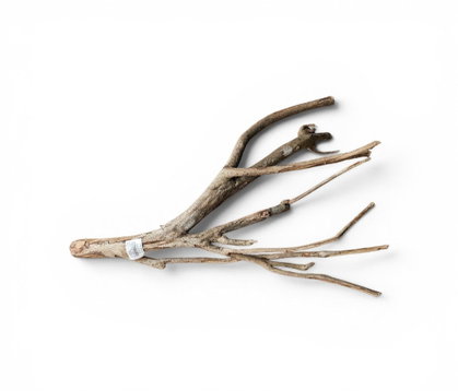 Talawa Holz/Wood 30-45cm Nr. 66