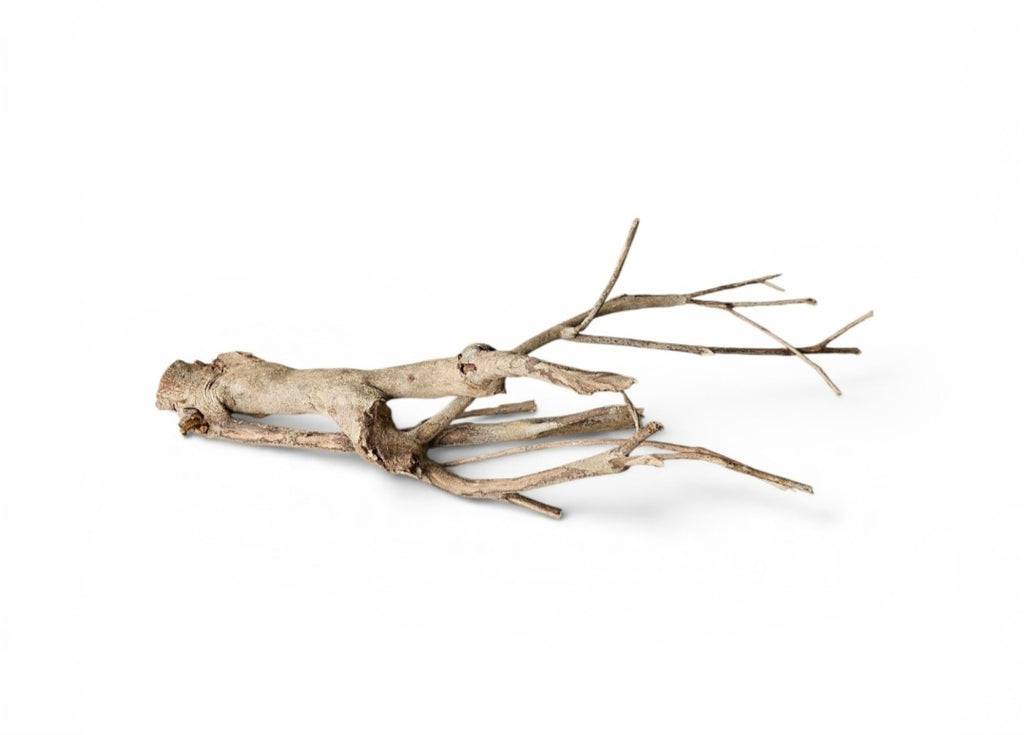 Talawa Holz/Wood 30-45cm Nr. 71