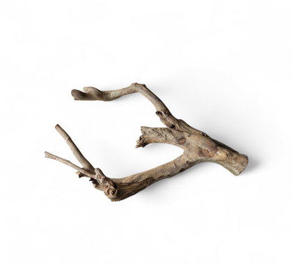 Talawa Holz / Wood 30-45 cm Nr. 159