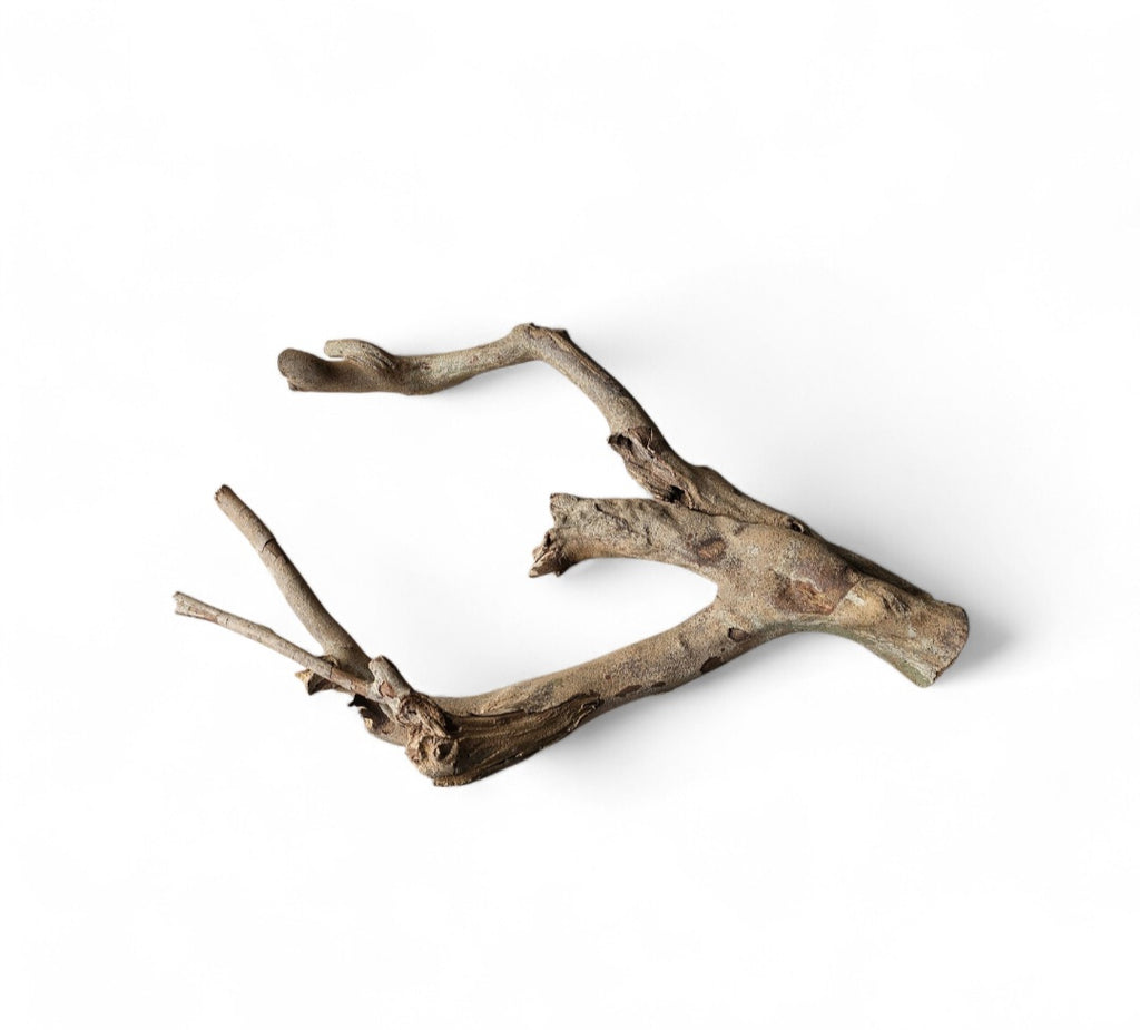 Talawa Holz / Wood 30-45 cm Nr. 159