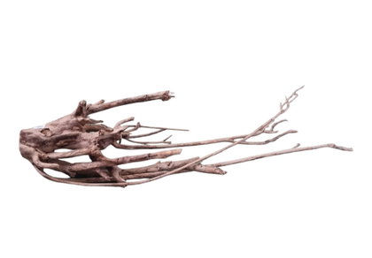 Talawa Holz / Wood 80-100 cm Nr. 679