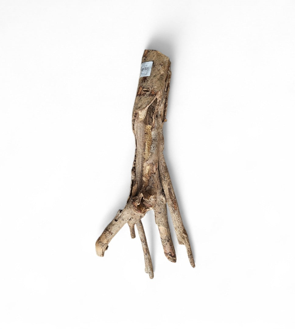 Talawa Holz / Wood 30-45 cm Nr. 161