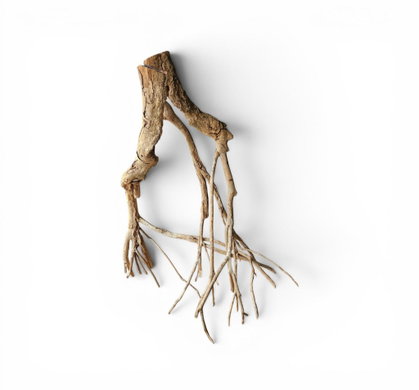 Talawa Holz / Wood 70-80 cm Nr. 163