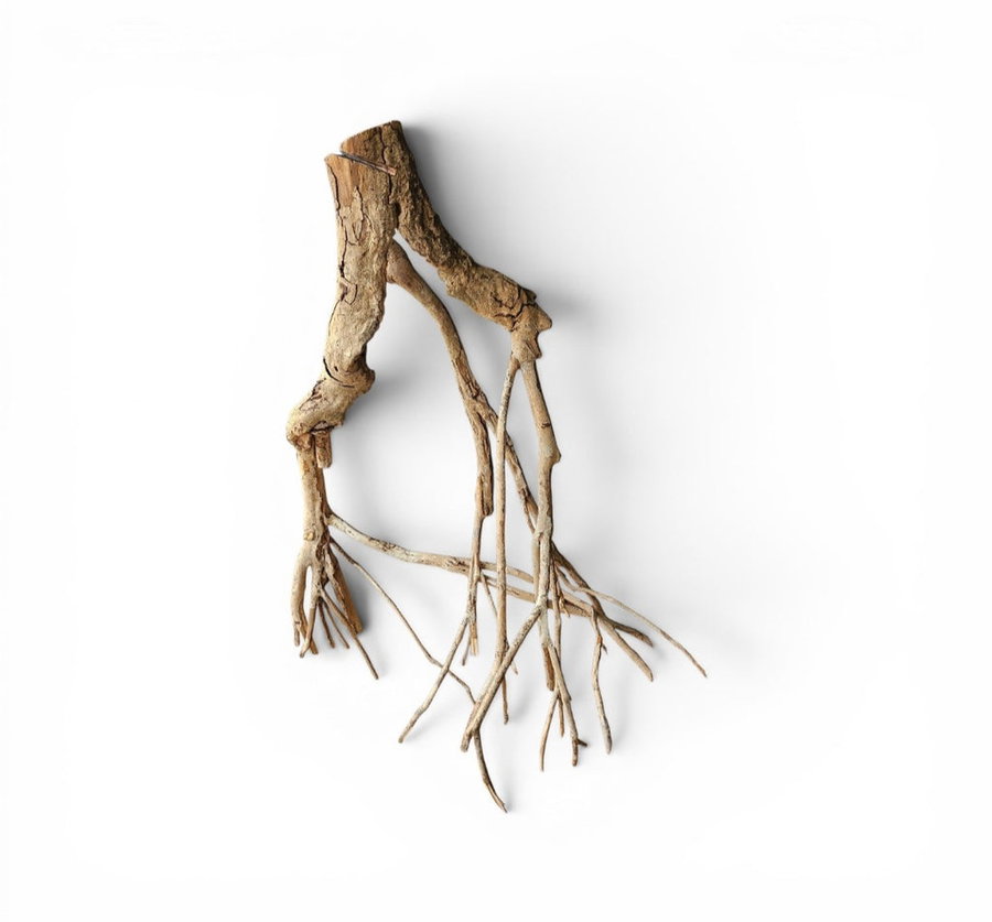 Talawa Holz / Wood 70-80 cm Nr. 163
