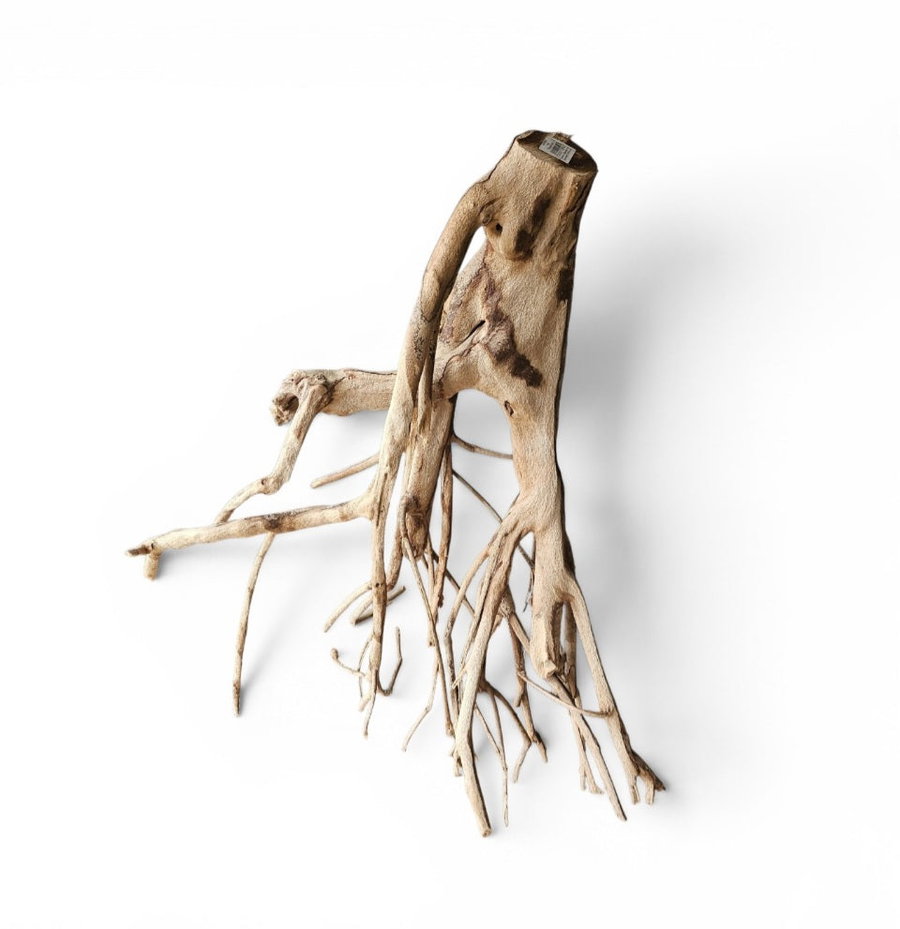 Talawa Holz / Wood 50-70 cm Nr. 164