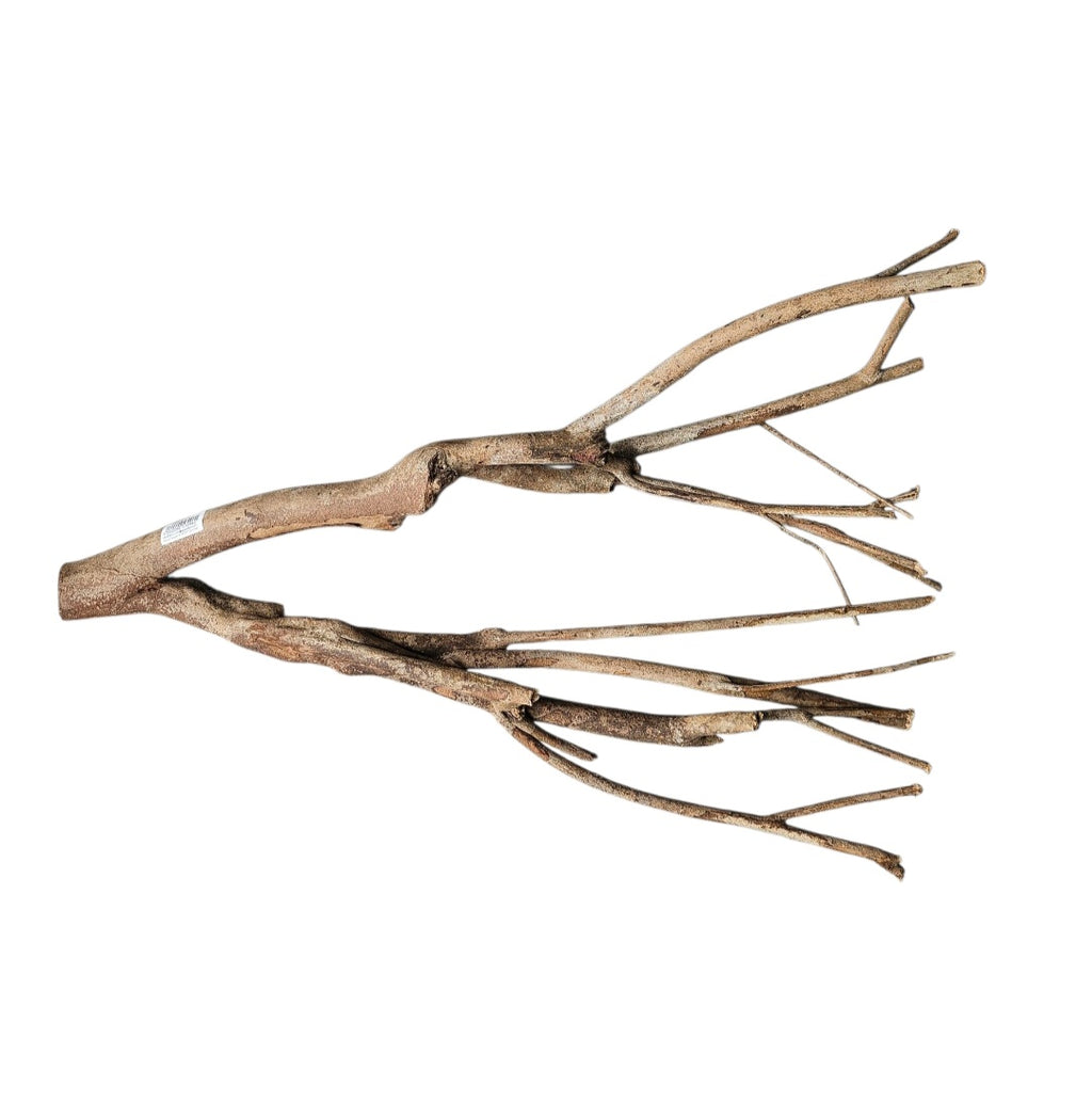 Talawa Holz / Wood 50-70 cm Nr. 245