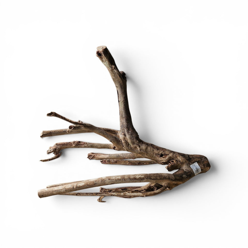Talawa Holz / Wood 50-70 cm Nr. 775