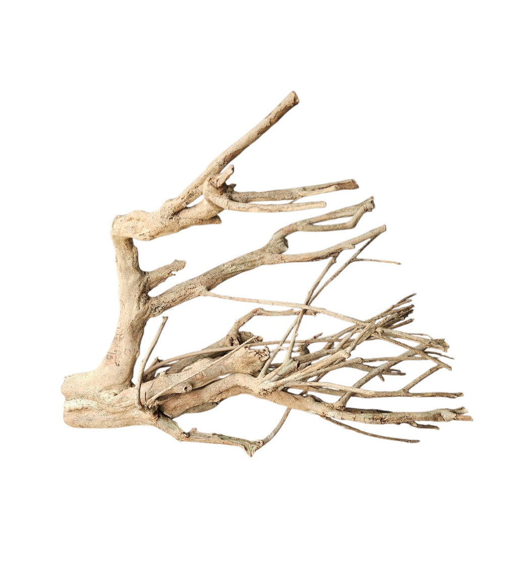 Talawa Holz / Wood 50-70 cm Nr.724