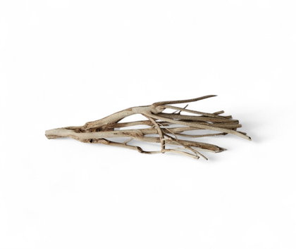 Talawa Holz / Wood 50-70 cm Nr.727