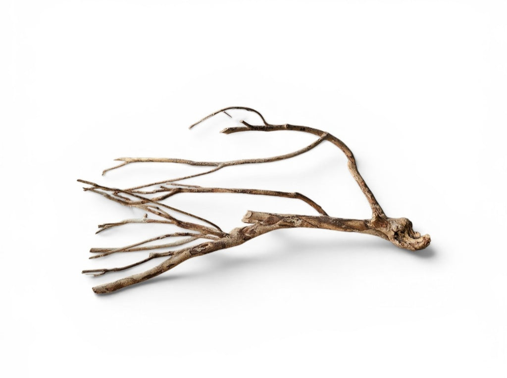Talawa Holz / Wood 50-70 cm Nr. 96
