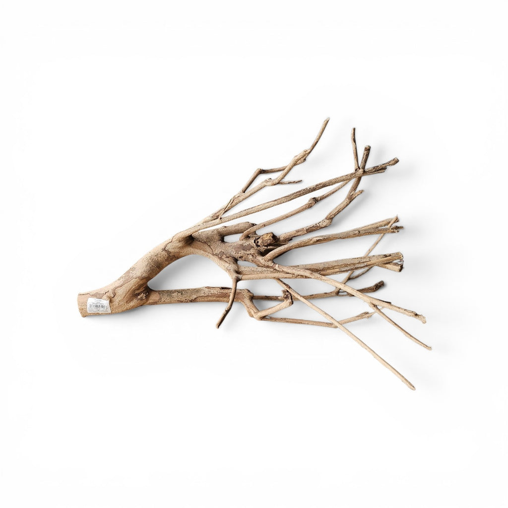 Talawa Holz/Wood 30-45cm Nr.676