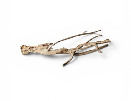 Talawa Wood 30-45cm Nr. 222