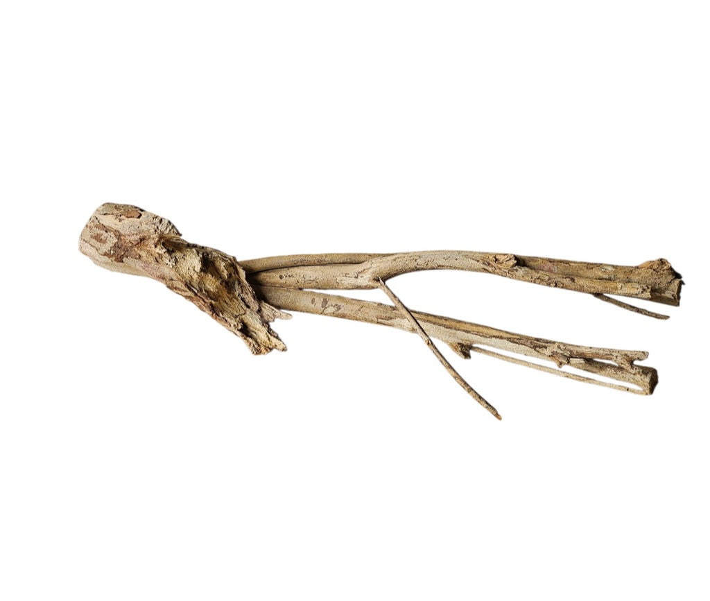 Talawa Wood 50-70cm Nr. 223
