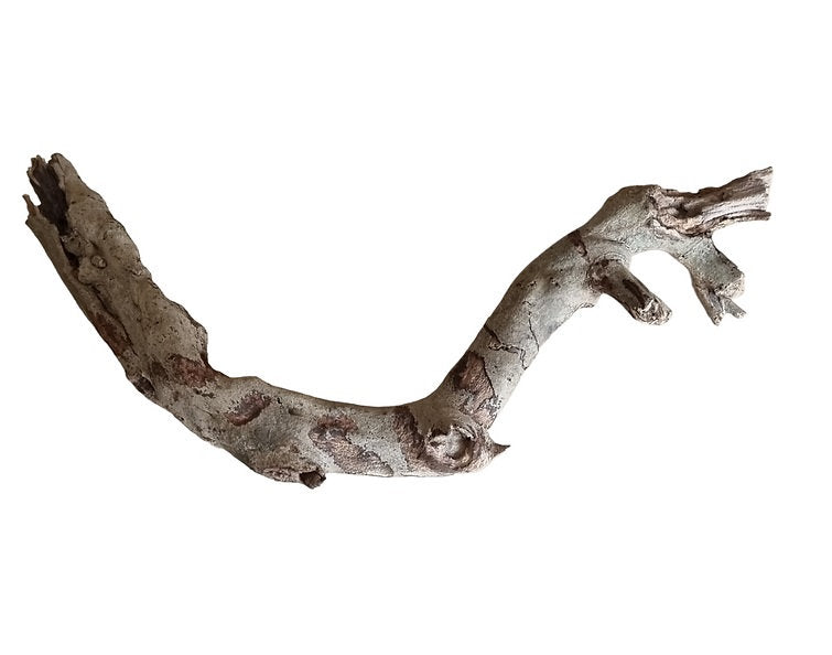 Talawa Wood Nr. 229