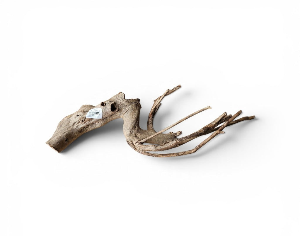 Talawa Wood 30-45cm Nr. 237