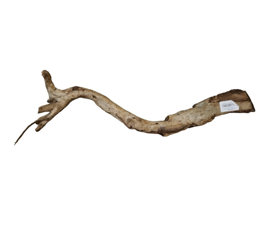 Talawa Holz/Wood 30-45cm Nr. 239