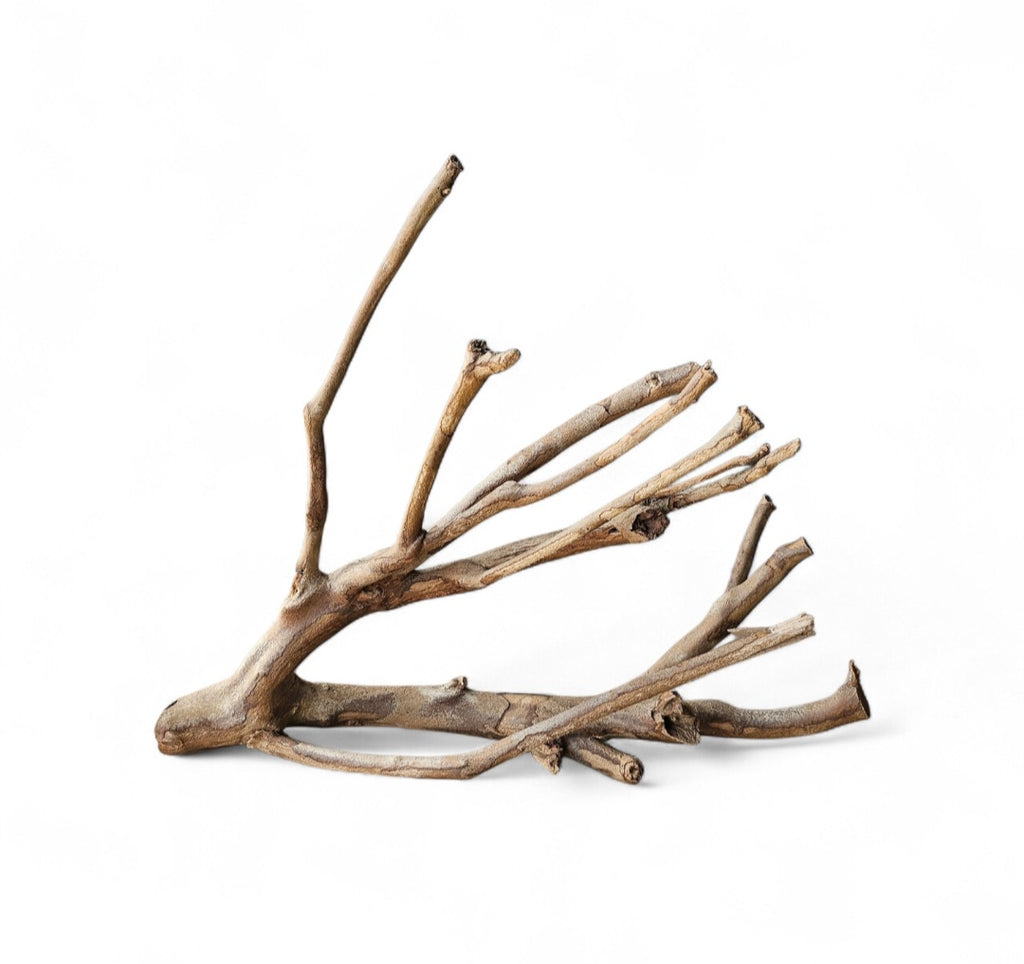 Talawa Holz/Wood 30-45cm Nr. 241