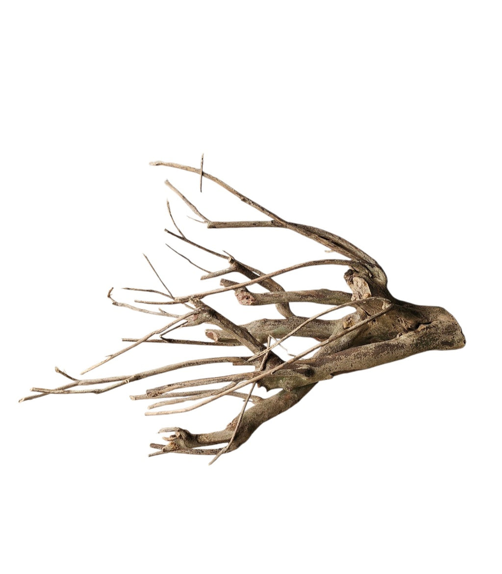 Talawa Holz/Wood 50-70cm Nr. 243