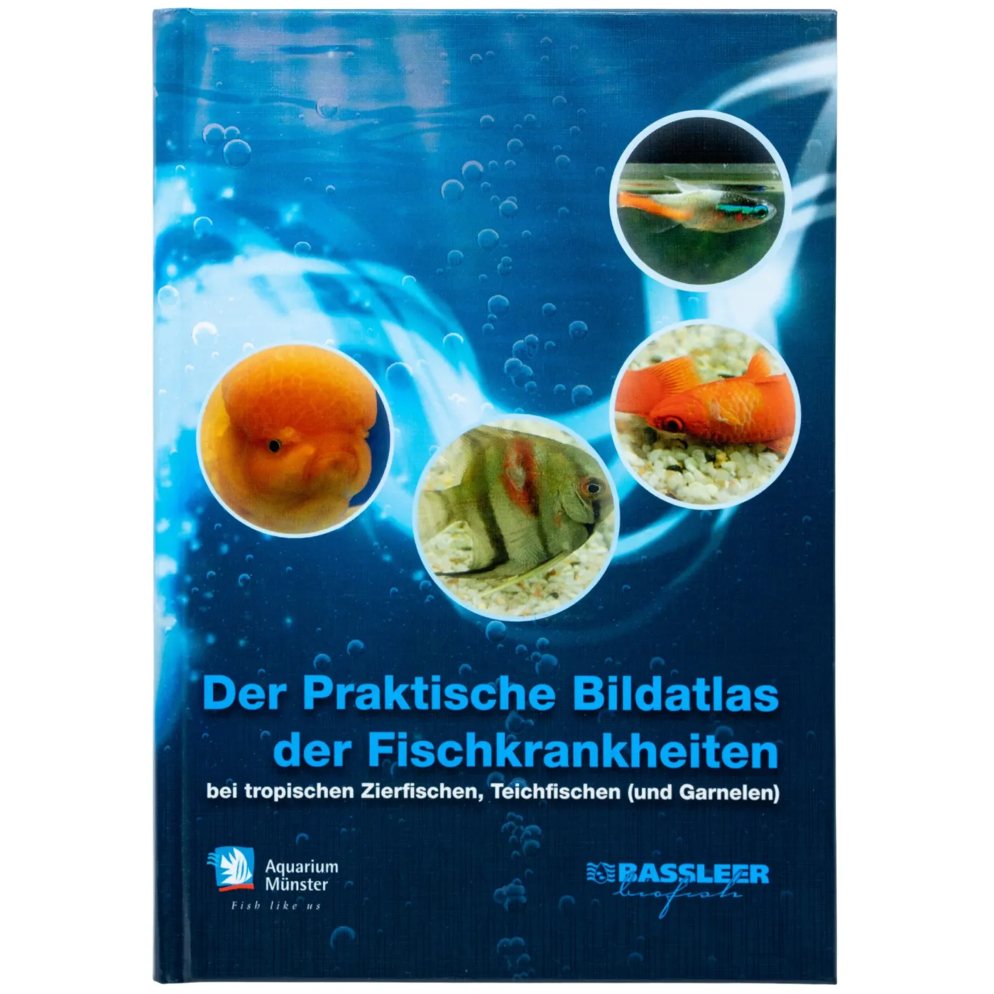 Aquarium Münster Praktischer Bildatlas der Fischkrankheiten
