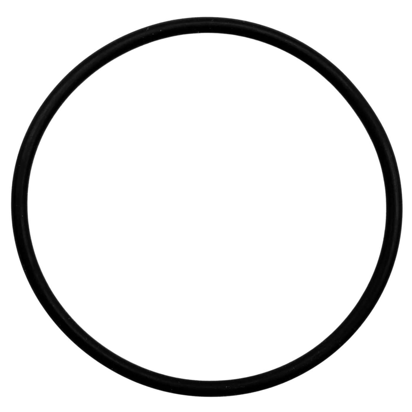 Arka Ersatz O-Ring für Filtergehäuse myAqua 1900/3800