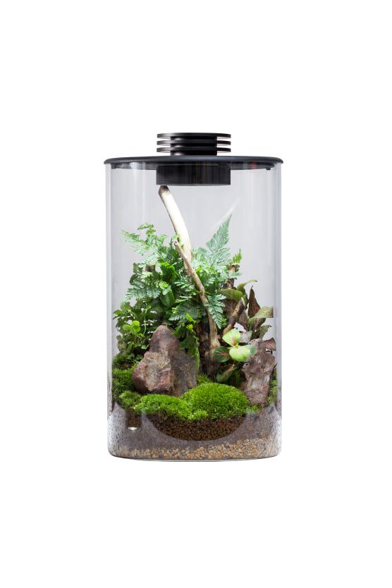 Bioloark Bio Bottle LED ZD