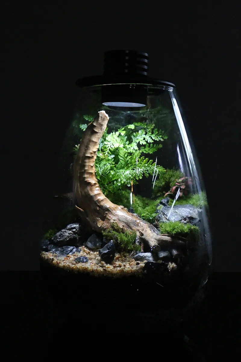 Bioloark - Bio Bottle LED - SD - 200