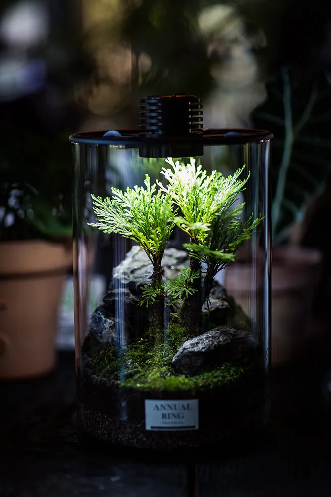 Bioloark - Bio Bottle LED - ZD