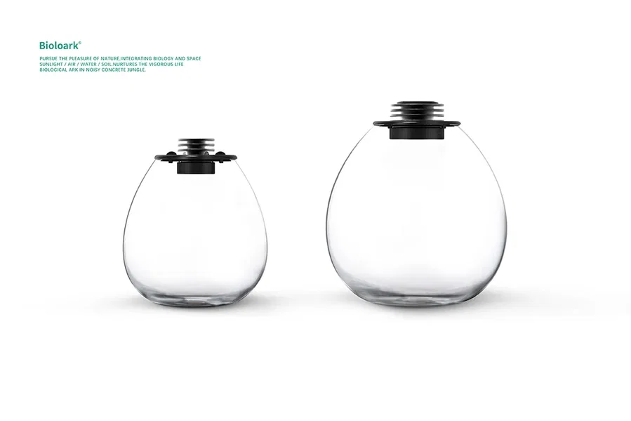 Bioloark Bio Bottle PD | Mini Terrarium