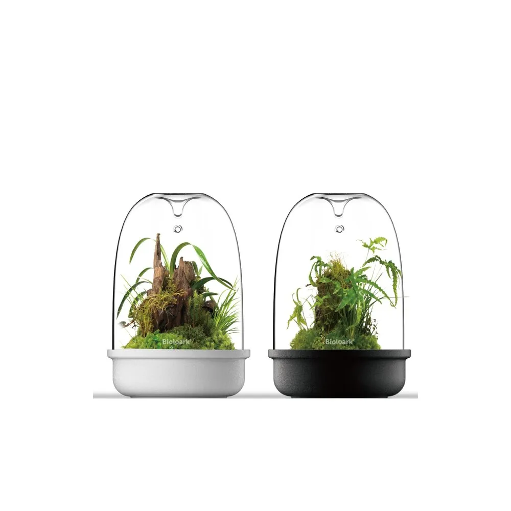 Bioloark - Luji Glass Cup Schwarz - MQ