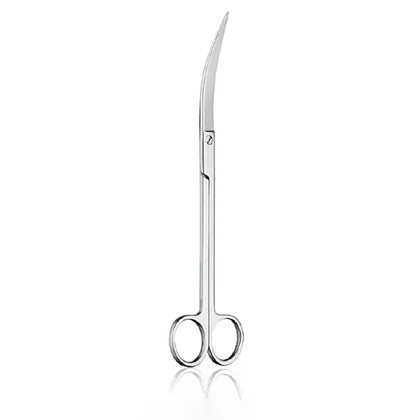 Chihiros | Schere gebogen - 21cm