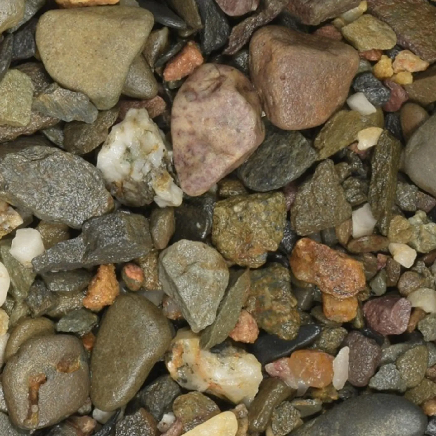 Colorstone Naturkies Flusskies dunkel