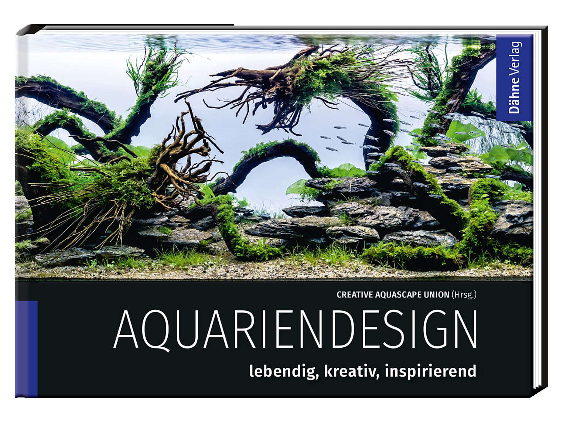 Aquariendesign
