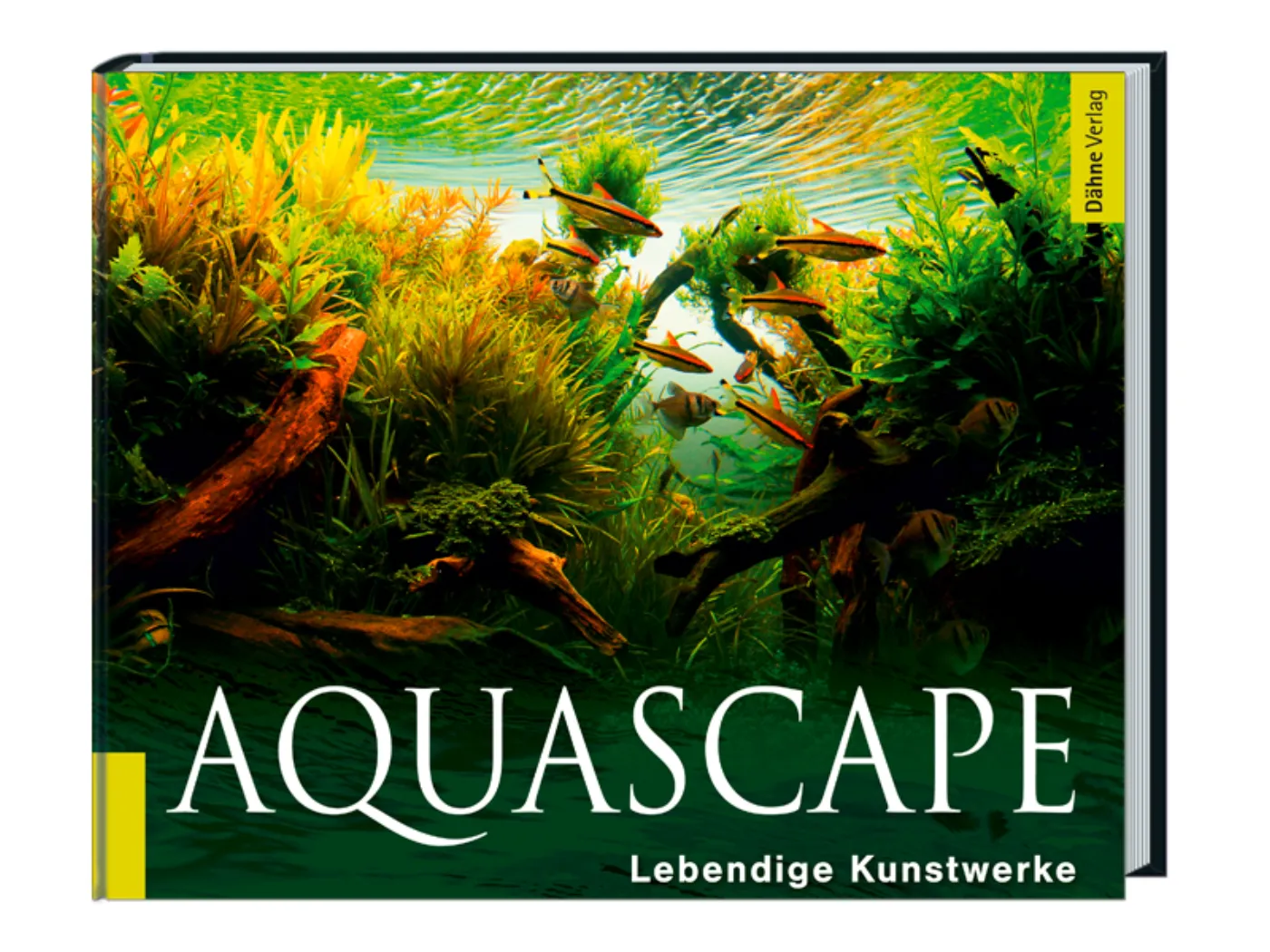 Aquascape: Lebendige Kunstwerke