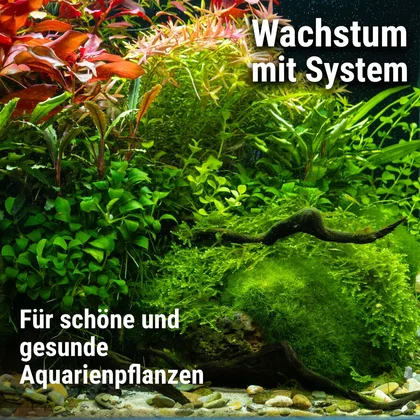 Dennerle | Plant System Set Nano