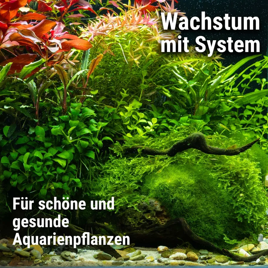 Dennerle | Plant System Set Nano