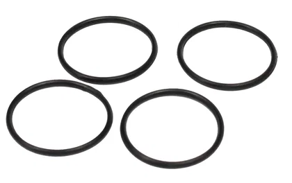 Scapers Flow - HangOn-Filter - O-Ring