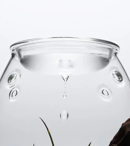 DOOA Ersatz Deckel für Glass Pot Shizuku