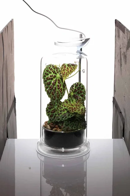 DOOA - System Stand 35 - Black
